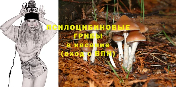 стафф Балахна