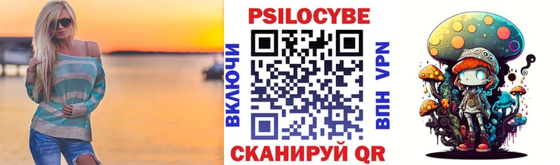 Купить закладки  Кубинка  Псилоцибиновые грибы Psilocybe 